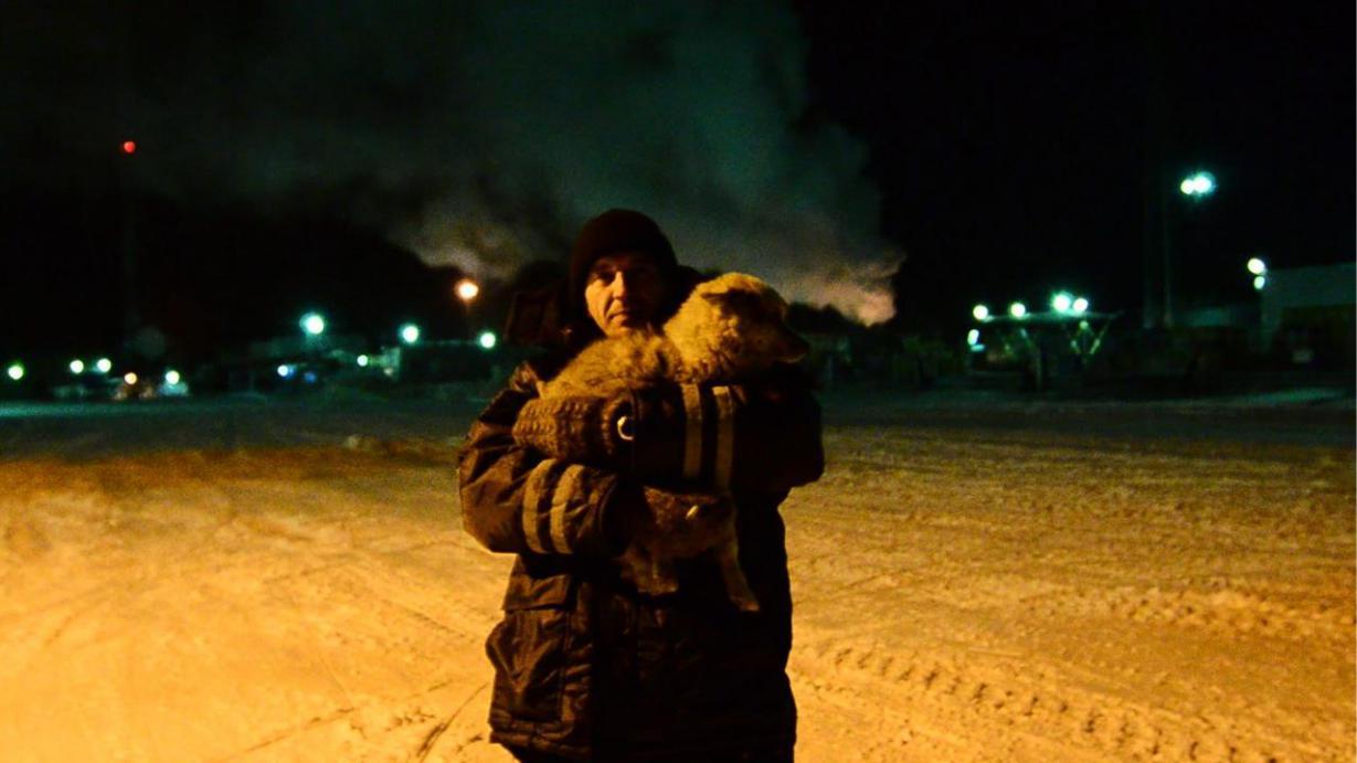 Arctic-1 — cover