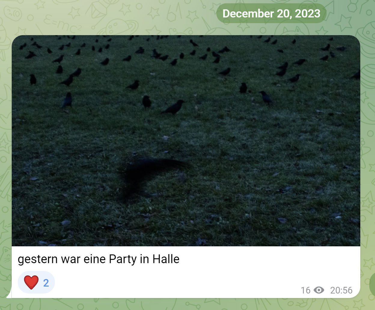 Gestern in Halle — cover