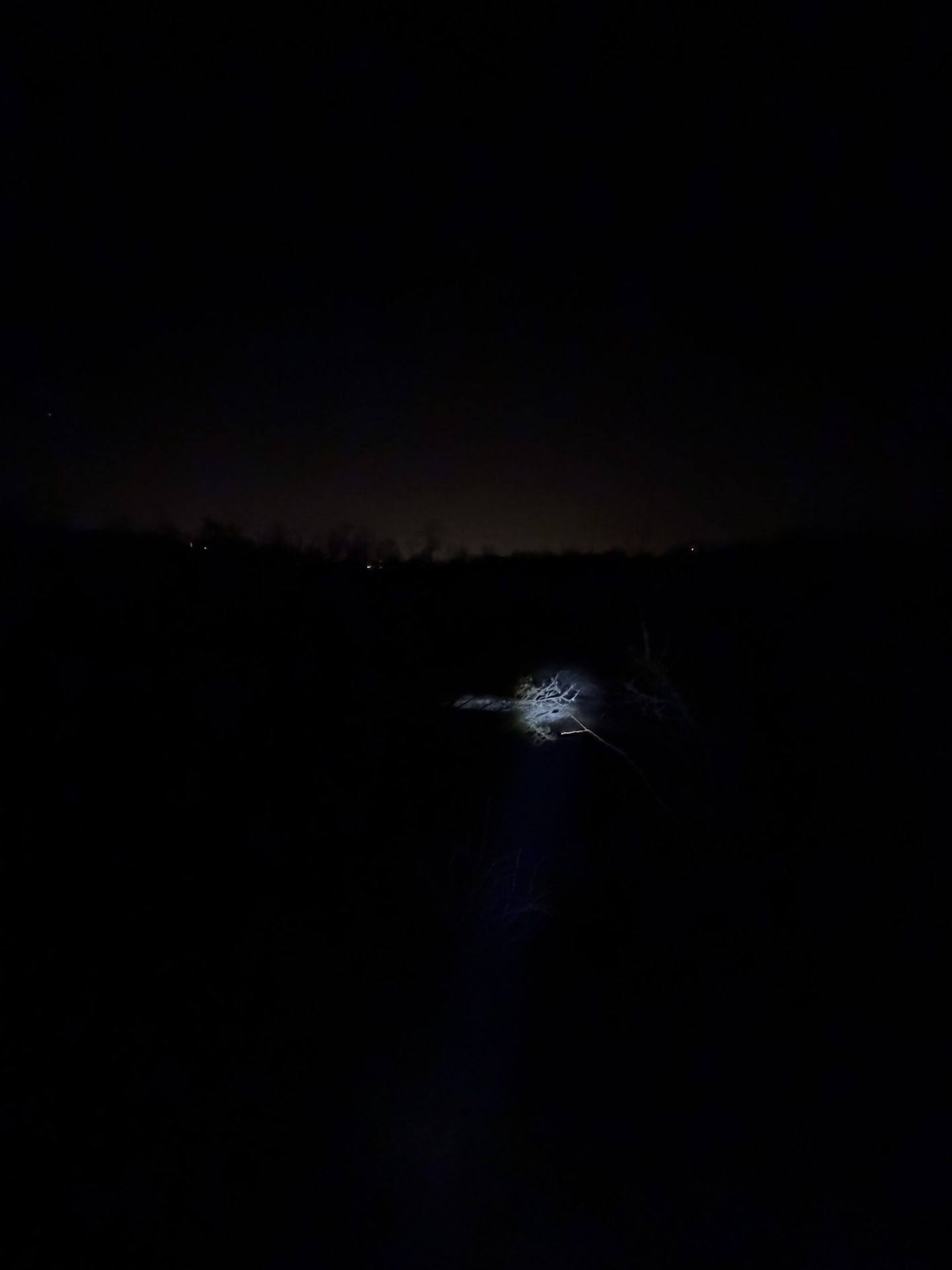 Heute Abend wird nichts passieren — still